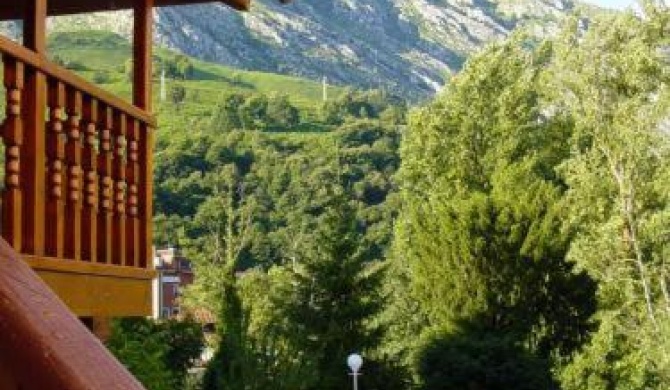 Hotel Picos de Europa