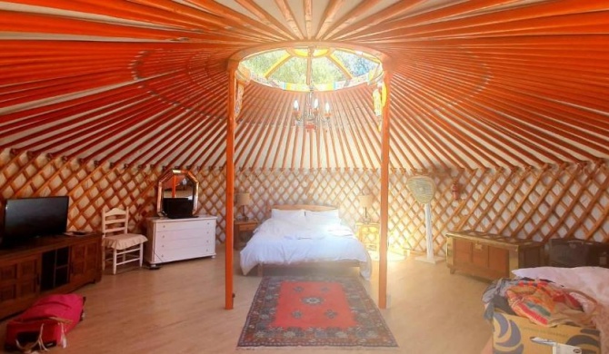 Eldorado Yurt