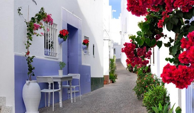 CONIL PLAYA Y FLORES