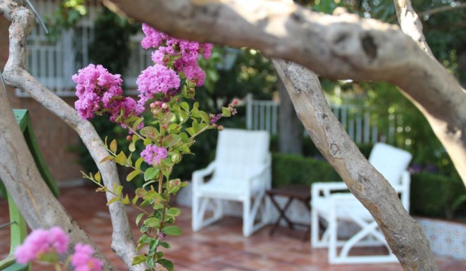 El jardín de la abuela