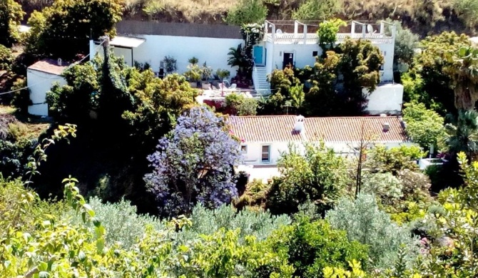 Cortijo El Oasis